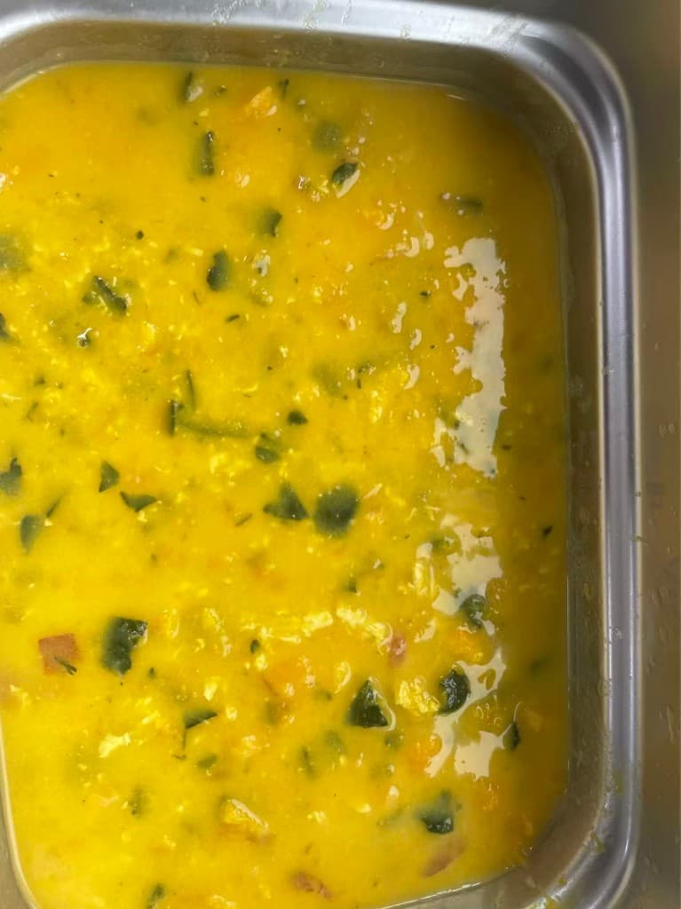 Homemade wet food for senior pets: fresh, soft, and easy to love